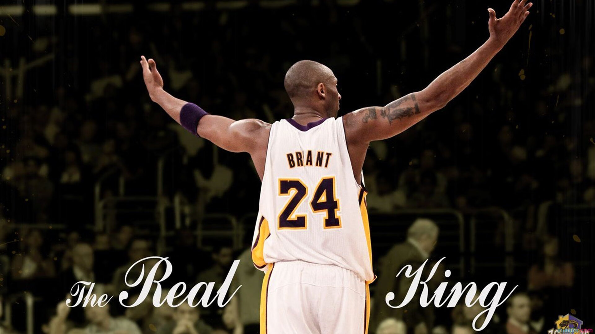 篮球巨星伤愈复出 助力球队冲击总冠军，球员伤愈复出