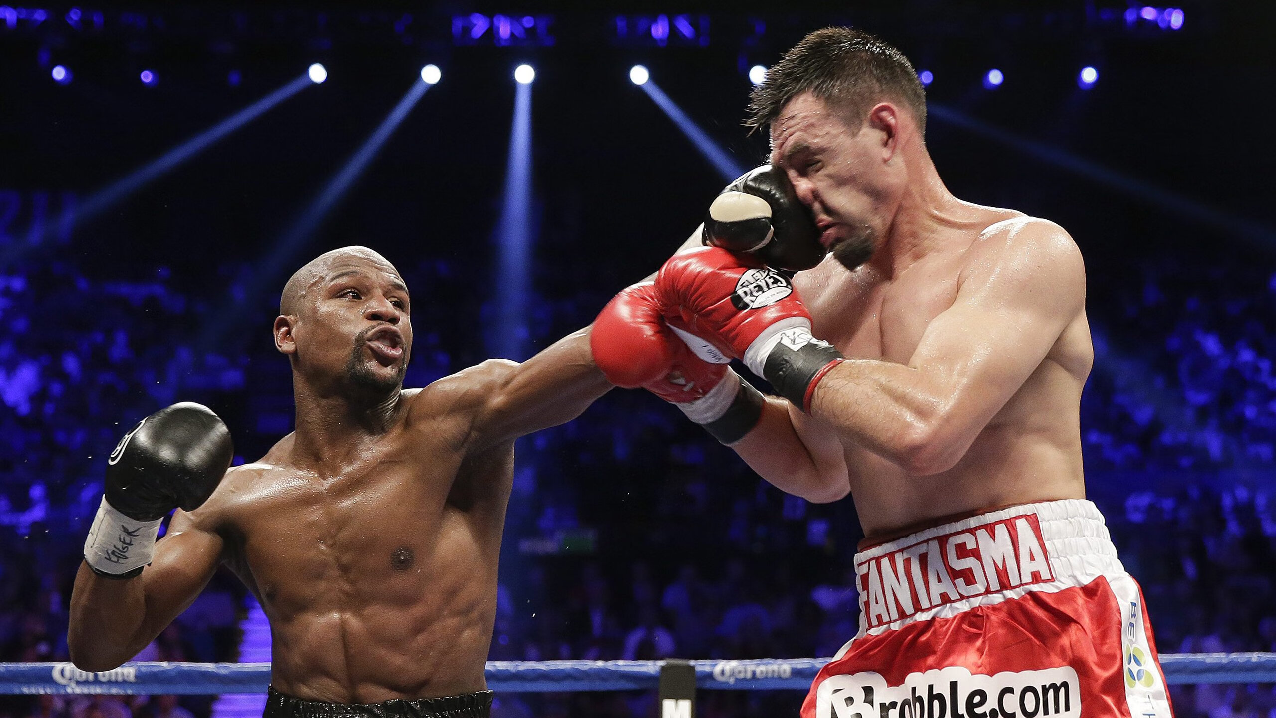 球员家属到场观战为运动员带来更多心理支持力量，cba球员家属看比赛坐哪里